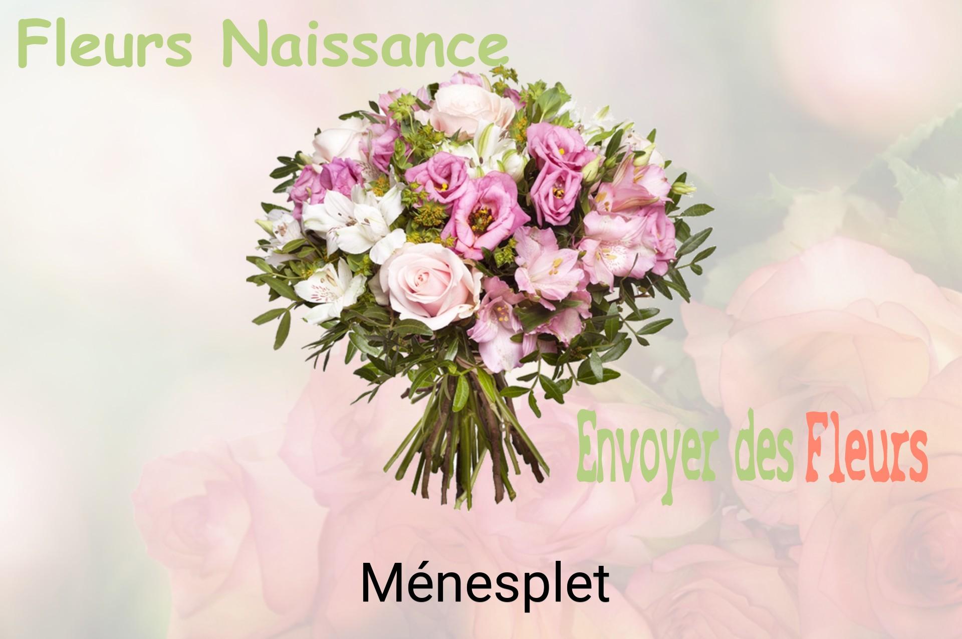 Bouquet de fleurs de naissance livré à Ménesplet